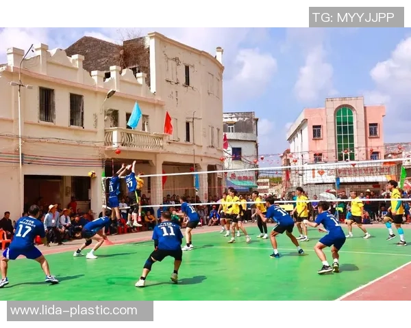 杨丽独家分享排球心得与技巧助你提升球技的秘密宝典